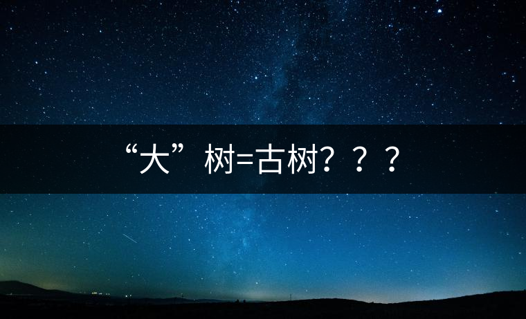 “大”樹=古樹？？？