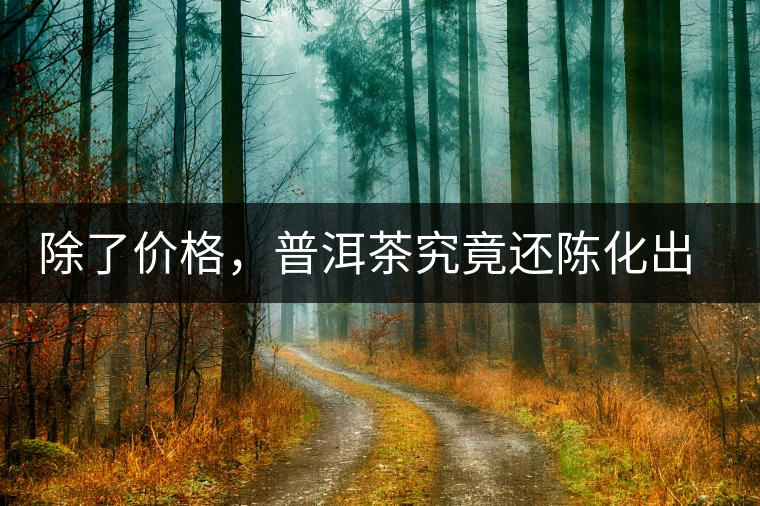 除了價(jià)格，普洱茶究竟還陳化出了啥？