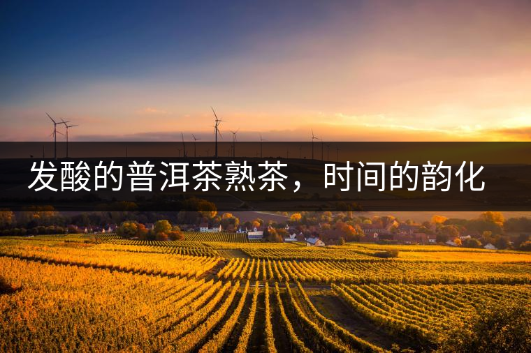 發(fā)酸的普洱茶熟茶，時間的韻化會讓它驚艷無比！