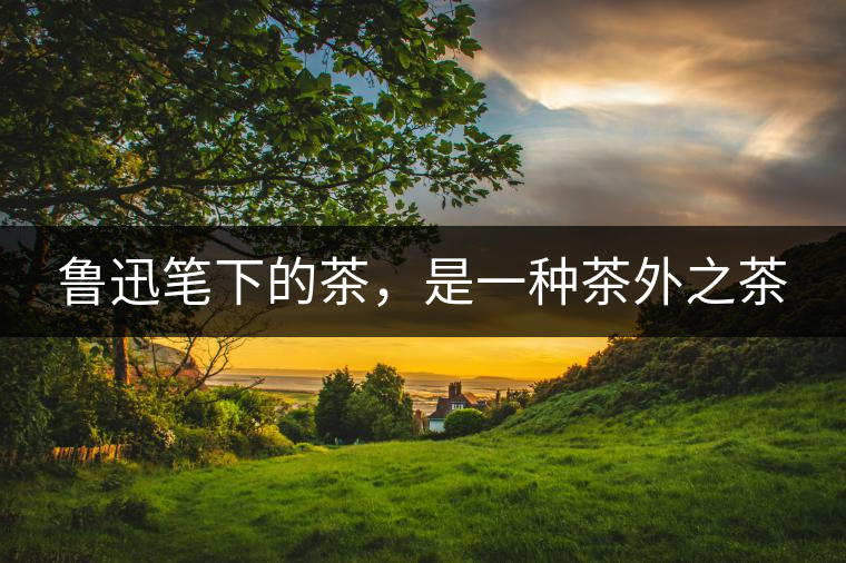 魯迅筆下的茶，是一種茶外之茶