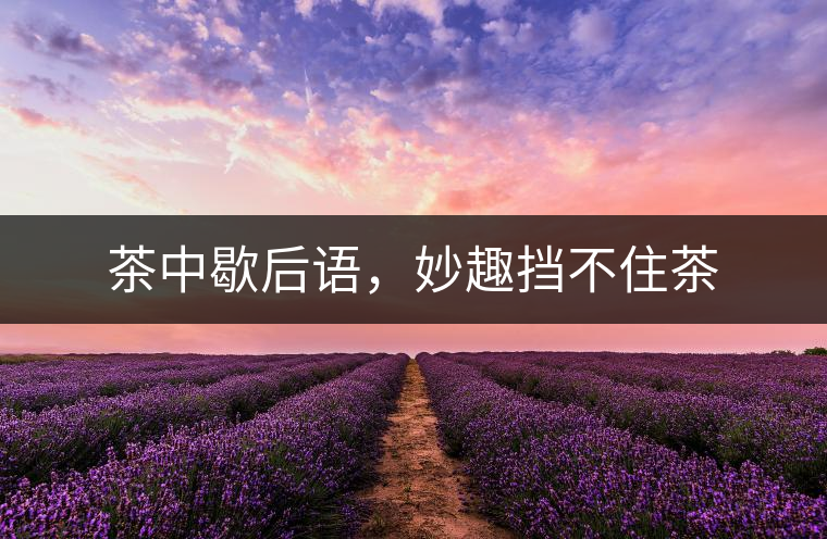 茶中歇后語(yǔ)，妙趣擋不住茶