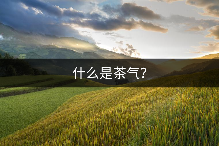 什么是茶氣？