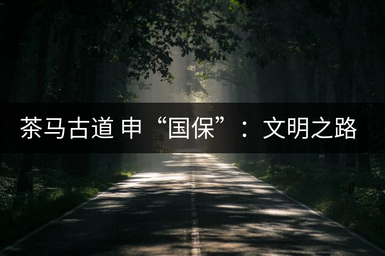 茶馬古道 申“國?！保何拿髦返脑侔l(fā)現(xiàn)