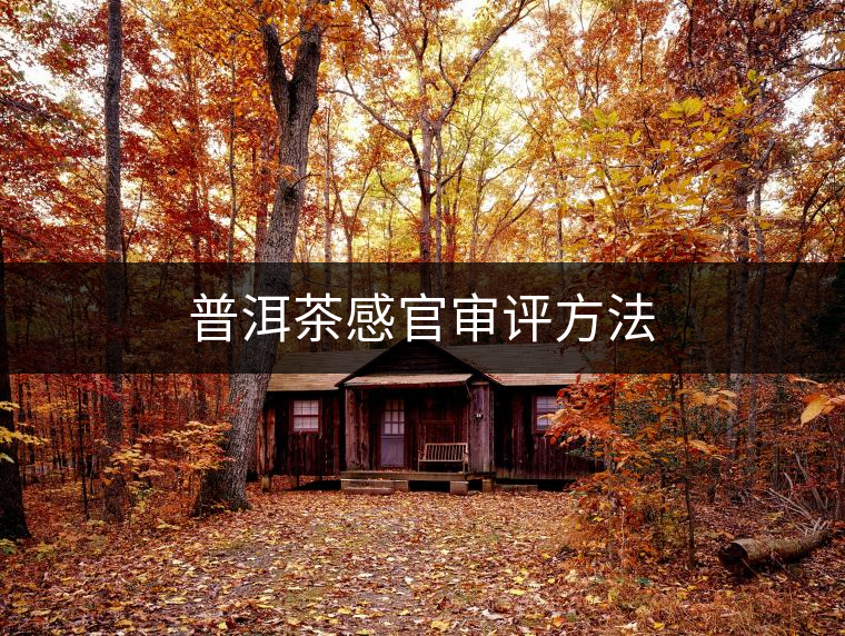 普洱茶感官審評(píng)方法