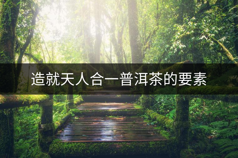造就天人合一普洱茶的要素 造就天人合一普洱茶的要素