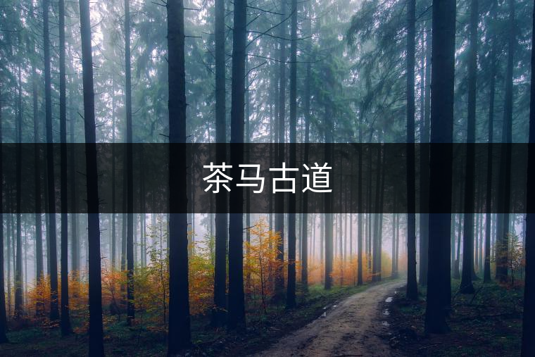 茶馬古道