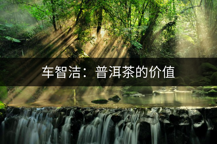 車智潔：普洱茶的價值