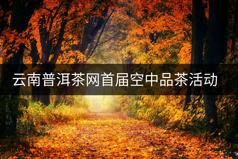 云南普洱茶網(wǎng)首屆空中品茶活動交流情況匯報