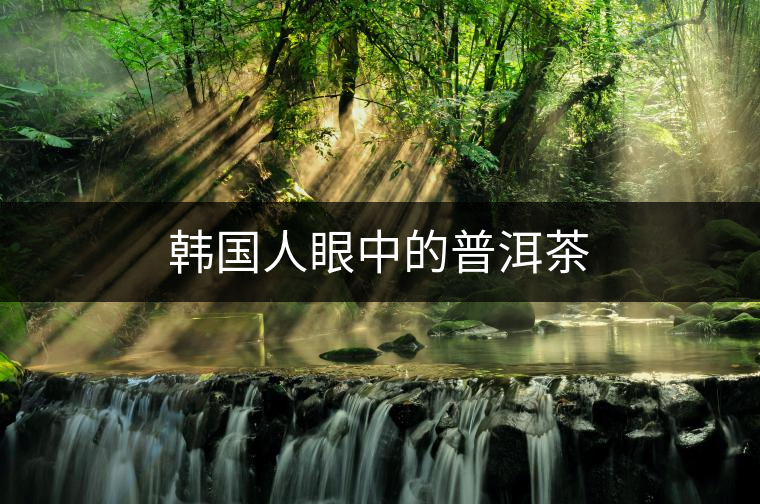韓國(guó)人眼中的普洱茶 韓國(guó)人眼中的普洱茶