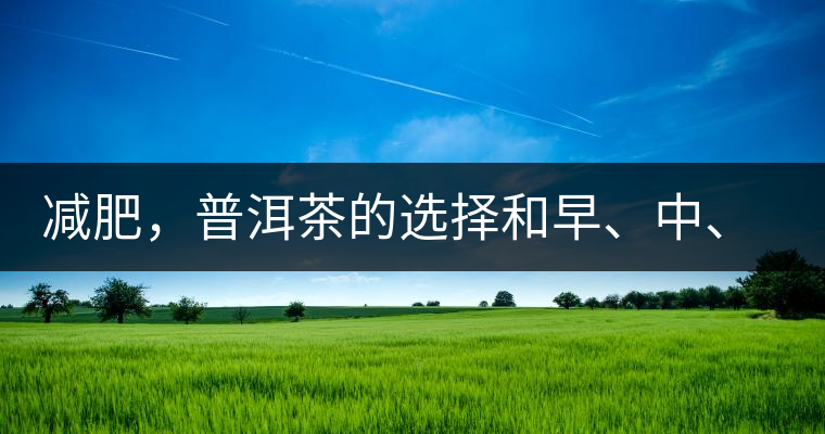 減肥，普洱茶的選擇和早、中、晚的喝法