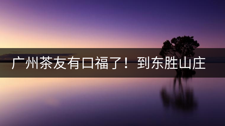 廣州茶友有口福了！到東勝山莊吃“普洱雞”去——