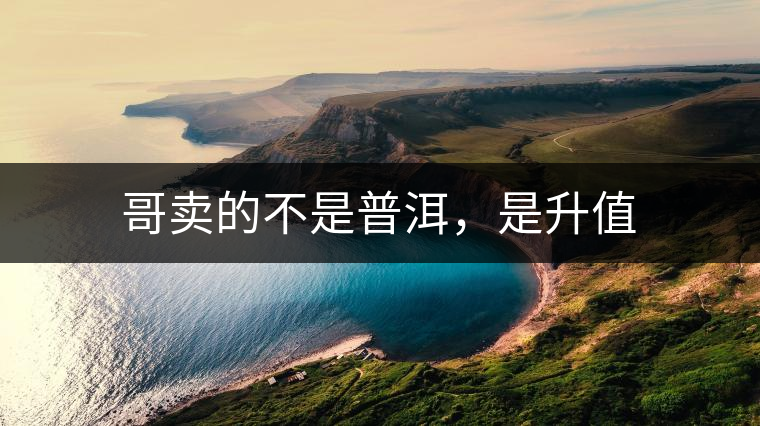 哥賣的不是普洱，是升值