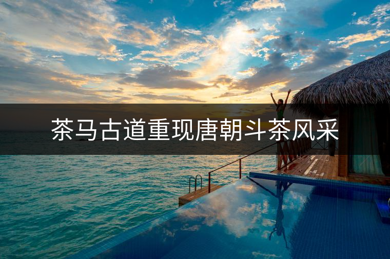 茶馬古道重現(xiàn)唐朝斗茶風采 茶馬古道重現(xiàn)唐朝斗茶風采