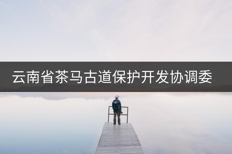 云南省茶馬古道保護開發(fā)協(xié)調(diào)委員會成立