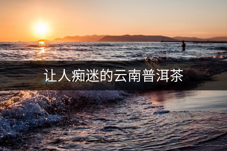 讓人癡迷的云南普洱茶