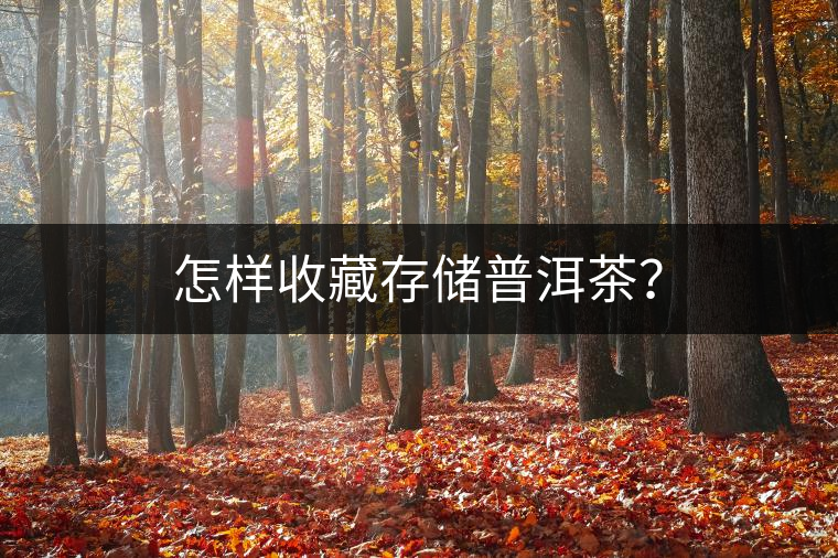 怎樣收藏存儲(chǔ)普洱茶？