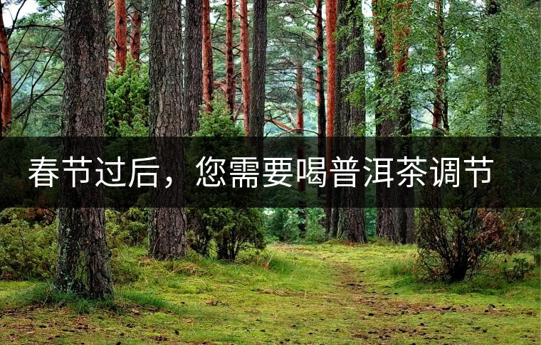 春節(jié)過(guò)后，您需要喝普洱茶調(diào)節(jié)身體