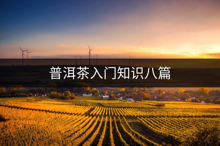 普洱茶入門知識(shí)八篇