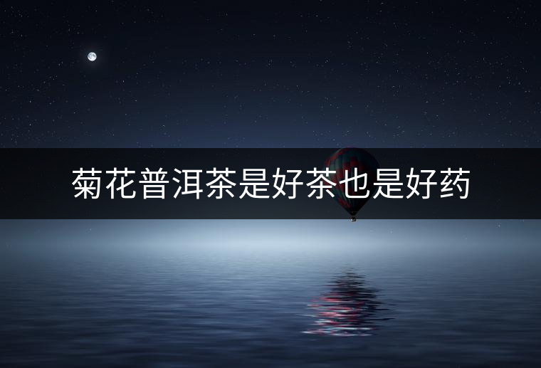 菊花普洱茶是好茶也是好藥