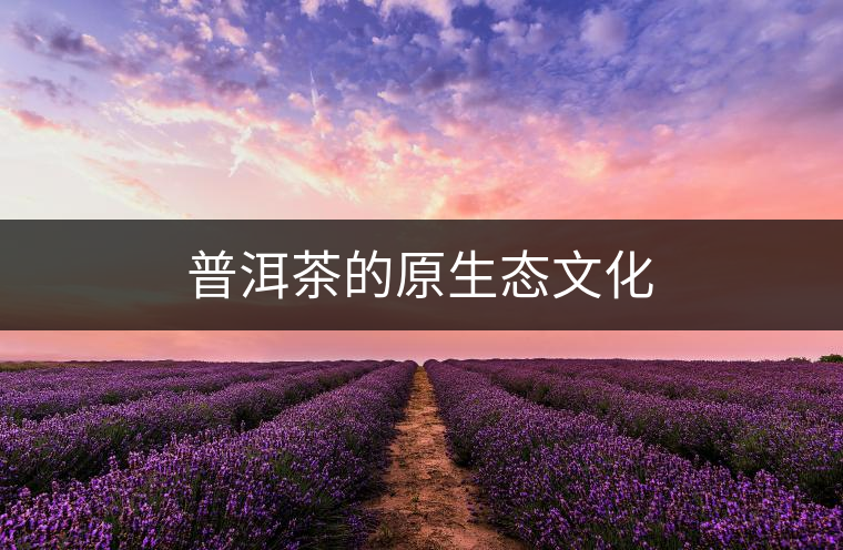 普洱茶的原生態(tài)文化 普洱茶的原生態(tài)文化