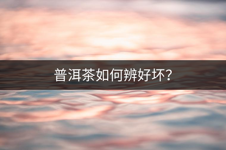 普洱茶如何辨好壞？