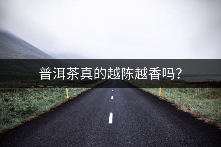 普洱茶真的越陳越香嗎？