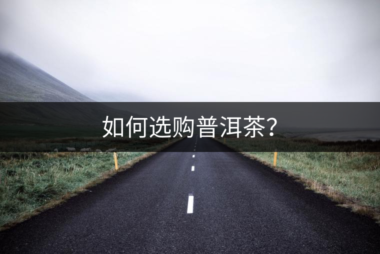 如何選購普洱茶？