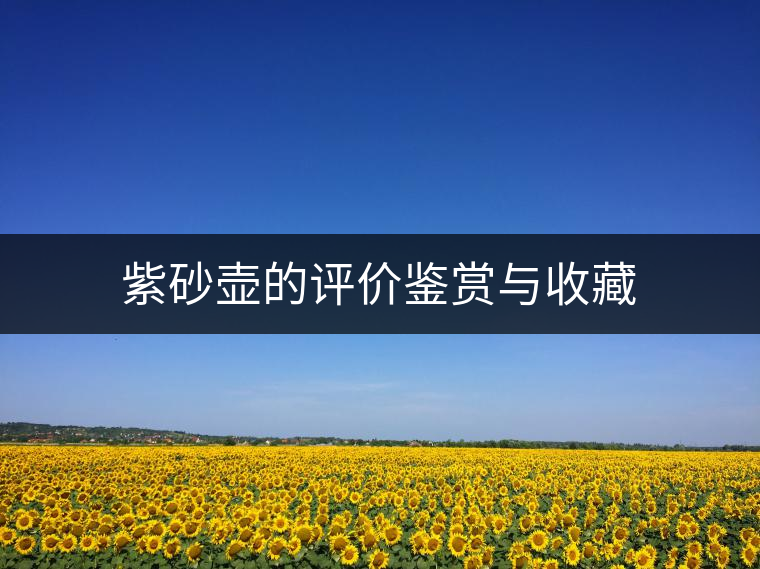 紫砂壺的評(píng)價(jià)鑒賞與收藏 紫砂壺的評(píng)價(jià)鑒賞與收藏