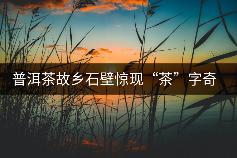 普洱茶故鄉(xiāng)石壁驚現(xiàn)“茶”字奇觀