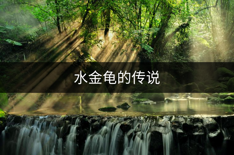 水金龜?shù)膫髡f 水金龜?shù)膫髡f