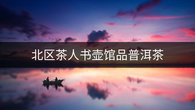 北區(qū)茶人書壺館品普洱茶