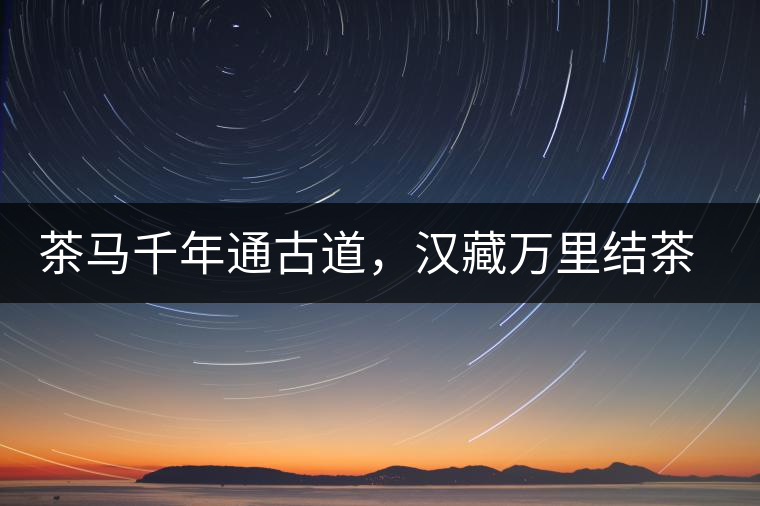 茶馬千年通古道，漢藏萬(wàn)里結(jié)茶緣