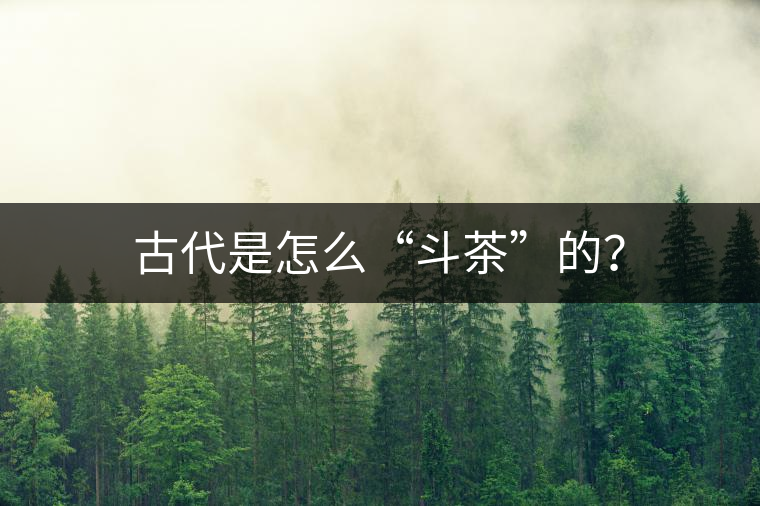 古代是怎么“斗茶”的？