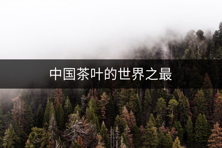 中國(guó)茶葉的世界之最