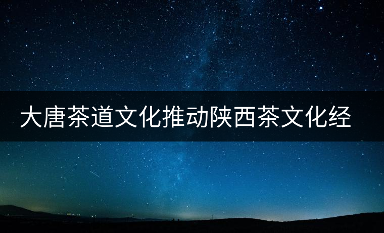 大唐茶道文化推動(dòng)陜西茶文化經(jīng)濟(jì)的發(fā)展
