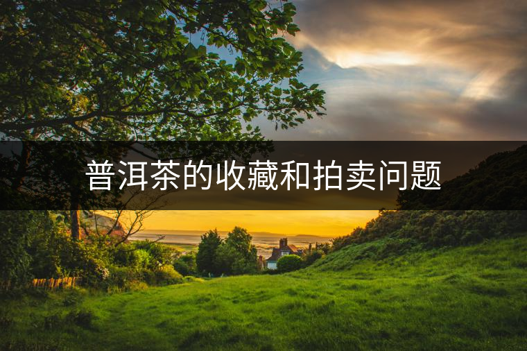 普洱茶的收藏和拍賣問題