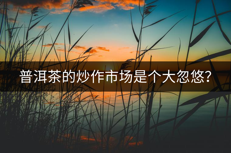 普洱茶的炒作市場是個大忽悠？