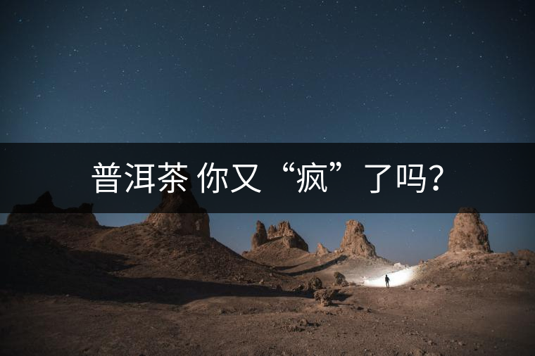 普洱茶 你又“瘋”了嗎？