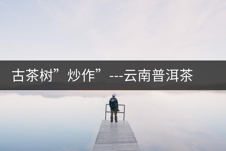 古茶樹(shù)”炒作”---云南普洱茶銷售的突破點(diǎn)之二 古茶樹(shù)”炒作”---云南普洱茶銷售的突破點(diǎn)之二