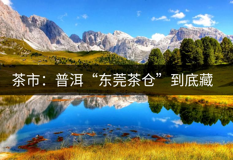 茶市：普洱“東莞茶倉”到底藏給誰喝？
