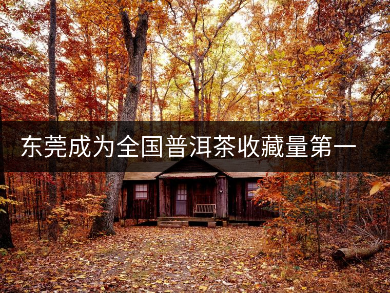 東莞成為全國(guó)普洱茶收藏量第一位的城市？