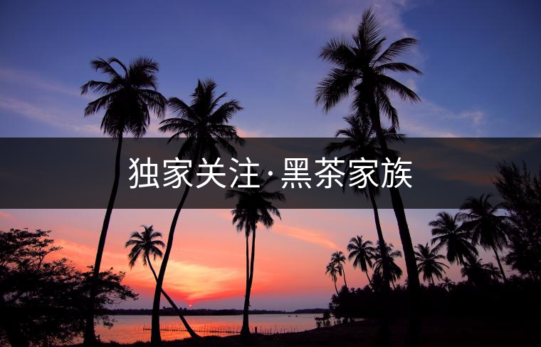 獨家關(guān)注·黑茶家族 獨家關(guān)注·黑茶家族