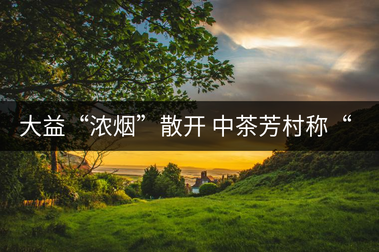 大益“濃煙”散開 中茶芳村稱“王”？