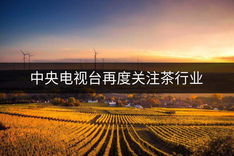 中央電視臺(tái)再度關(guān)注茶行業(yè) 中央電視臺(tái)再度關(guān)注茶行業(yè)