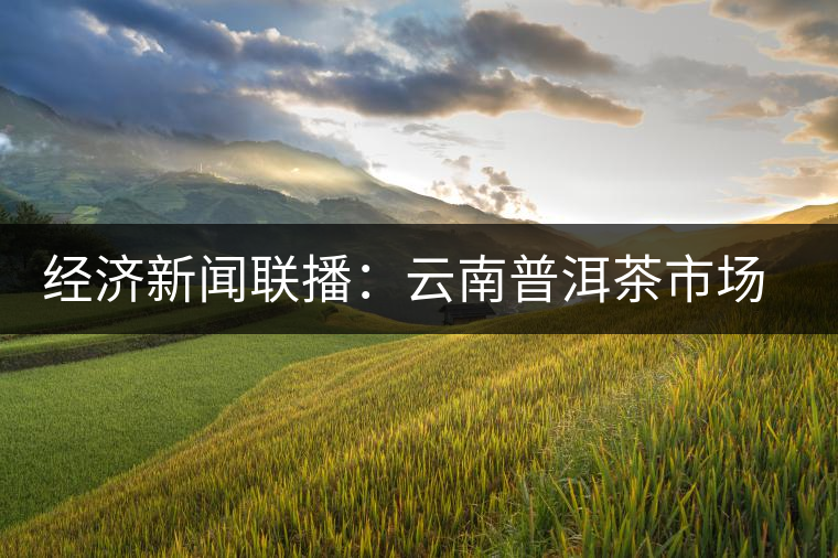 經(jīng)濟(jì)新聞聯(lián)播：云南普洱茶市場(chǎng)調(diào)查