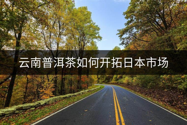 云南普洱茶如何開拓日本市場