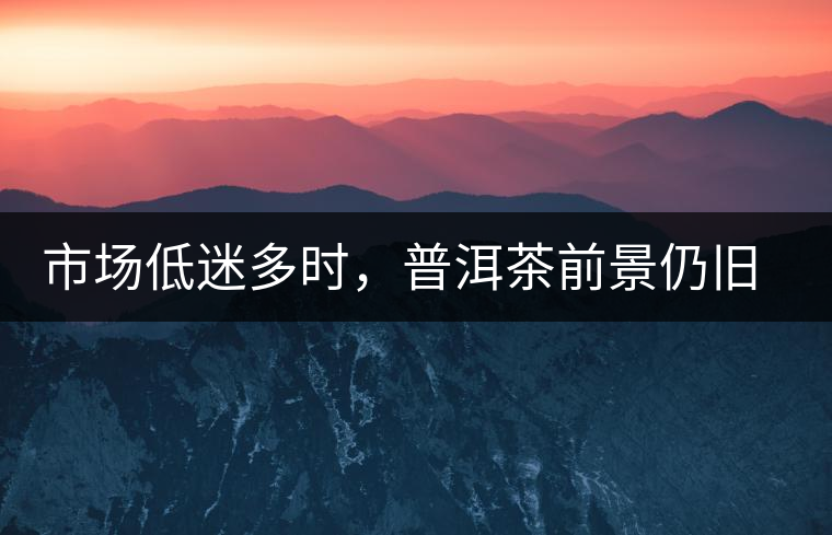 市場低迷多時，普洱茶前景仍舊被大佬們看好