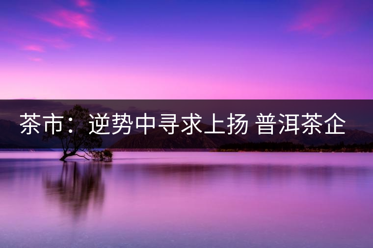 茶市：逆勢(shì)中尋求上揚(yáng) 普洱茶企靠什么打贏這場(chǎng)翻身仗？