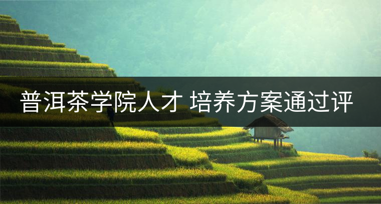 普洱茶學院人才 培養(yǎng)方案通過評審 普洱茶學院人才 培養(yǎng)方案通過評審