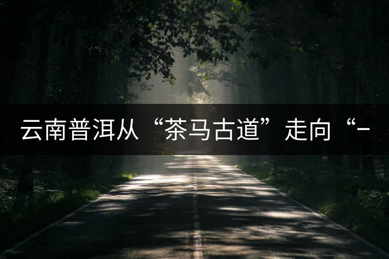云南普洱從“茶馬古道”走向“一帶一路”